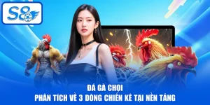 Đá Gà Chọi - Phân Tích Về 3 Dòng Chiến Kê Tại Nền Tảng