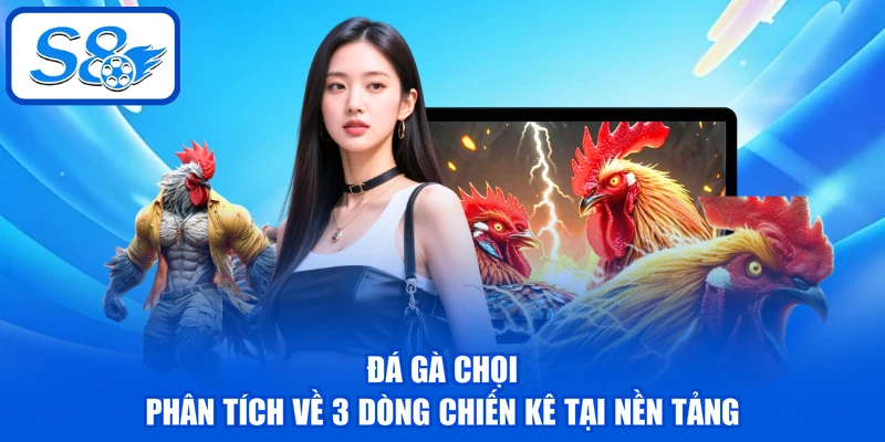 Đá Gà Chọi - Phân Tích Về 3 Dòng Chiến Kê Tại Nền Tảng 1 Đá Gà Chọi - Phân Tích Về 3 Dòng Chiến Kê Tại Nền Tảng