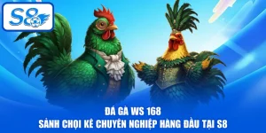 Đá Gà WS 168 - Sảnh Chọi Kê Chuyên Nghiệp Hàng Đầu Tại S8