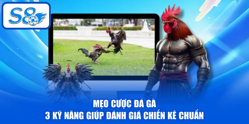 Mẹo Cược Đá Gà - 3 Kỹ Năng Giúp Đánh Giá Chiến Kê Chuẩn 1 Mẹo Cược Đá Gà - 3 Kỹ Năng Giúp Đánh Giá Chiến Kê Chuẩn