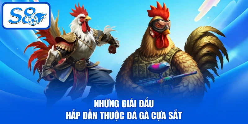 Những giải đấu hấp dẫn thuộc đá gà cựa sắt