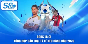Odds Là Gì - Tổng Hợp Các Loại Tỷ Lệ Kèo Hàng Đầu 2026