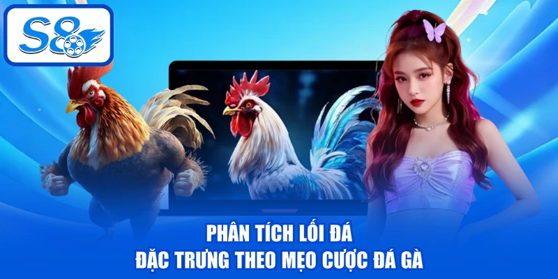 Mẹo Cược Đá Gà - 3 Kỹ Năng Giúp Đánh Giá Chiến Kê Chuẩn 4 Phân tích lối đá đặc trưng theo mẹo cược đá gà