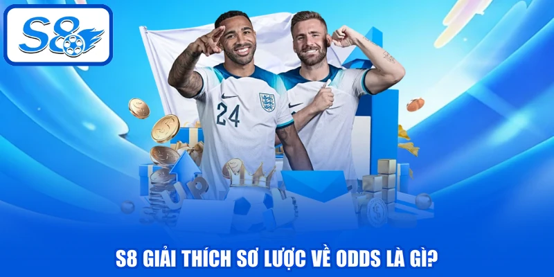 Odds Là Gì - Tổng Hợp Các Loại Tỷ Lệ Kèo Hàng Đầu 2026 2 S8 giải thích sơ lược về odds là gì?