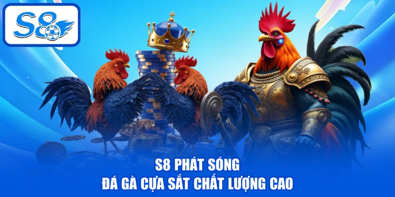 S8 phát sóng đá gà cựa sắt chất lượng cao