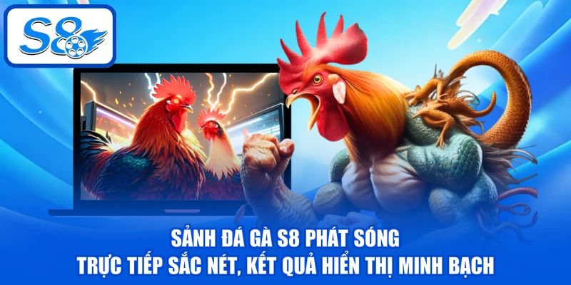 Sảnh đá gà S8 phát sóng trực tiếp sắc nét, kết quả hiển thị minh bạch