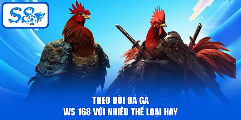 Theo dõi Đá gà WS 168 với nhiều thể loại hay