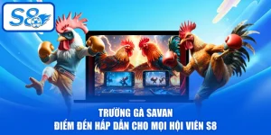 Trường Gà Savan - Điểm Đến Hấp Dẫn Cho Mọi Hội Viên S8