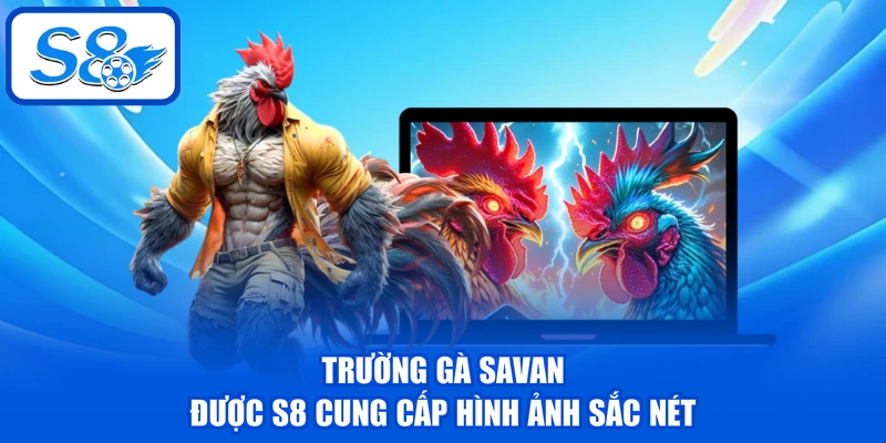 Trường Gà Savan - Điểm Đến Hấp Dẫn Cho Mọi Hội Viên S8 2 Trường gà Savan được S8 cung cấp hình ảnh sắc nét